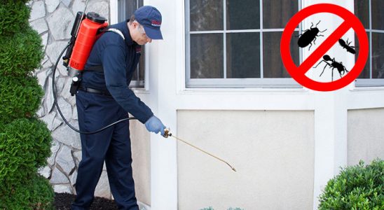 Kahta Gümüşkurt İlaçlama böcek ilaçlama ve haşere kontrolü — ilaclama-tr.com